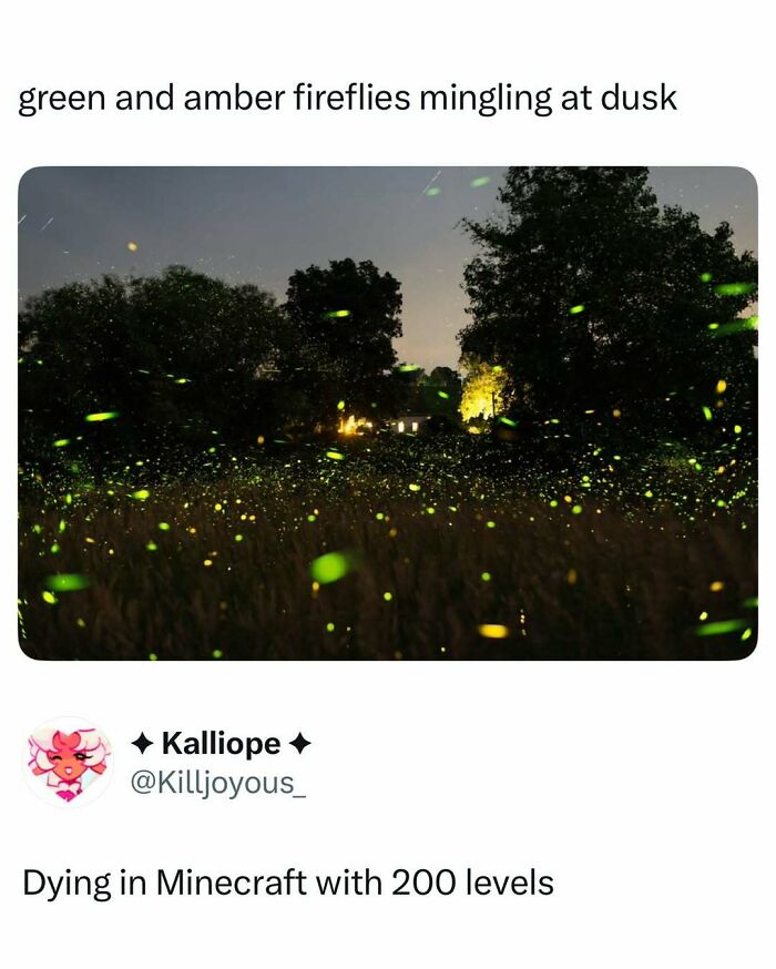 These 87 Screenshots Prove Social Media Isn’t Just a Drama Pit
