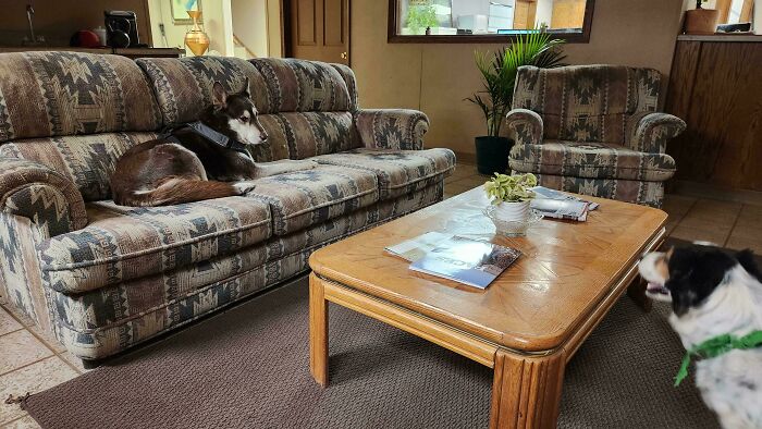Our Office Furniture Looks Like Grandma’s 90s Set