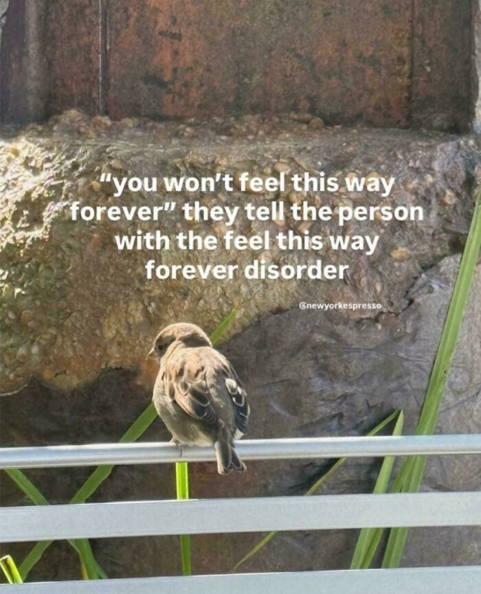 Pain Is Temporary Unless It's Chronic