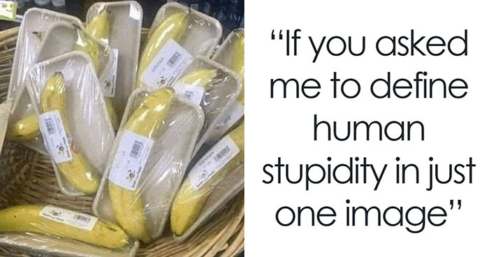 Wait, They Actually Ranked That?! 52 Internet Posts That Are Randomly Hilarious