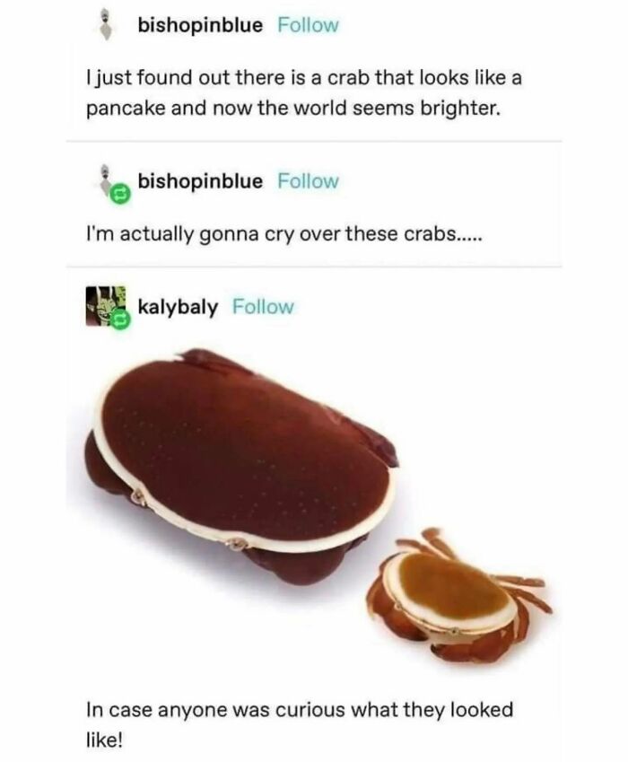 67 Hilarious Nerd Memes That Totally Get Us