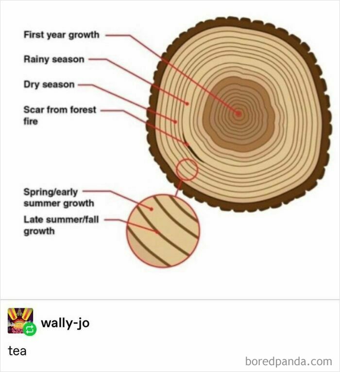 67 Hilarious Nerd Memes That Totally Get Us