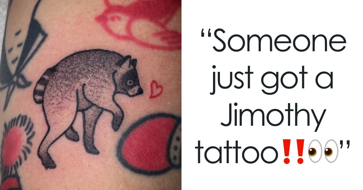 Meet Jimothy: The Weirdly Adorable Raccoon Taking Seattle by Storm