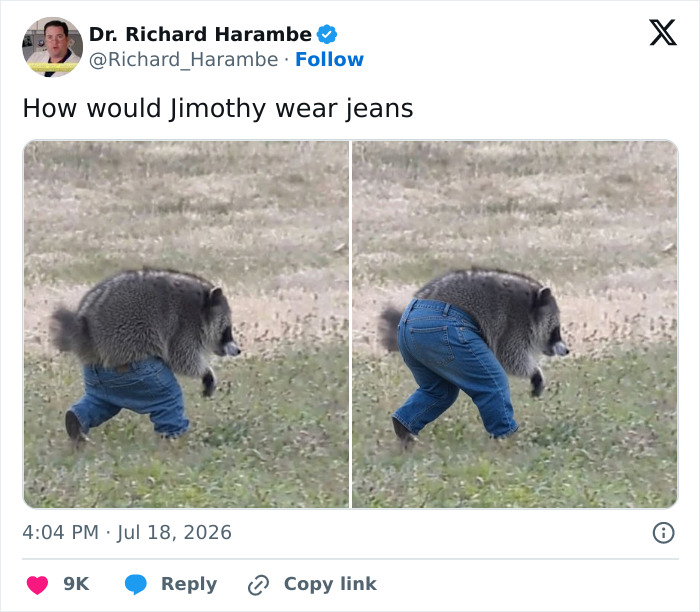 The Ultimate Chill Raccoon