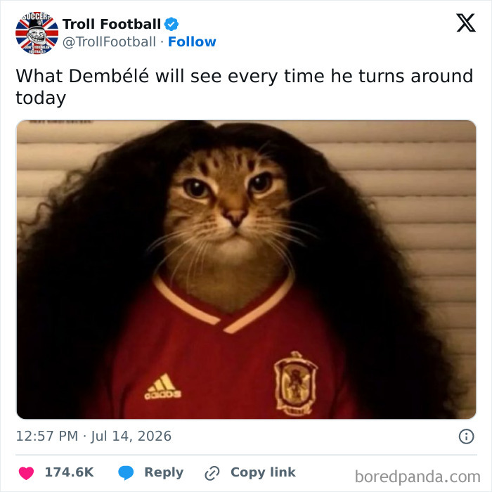 The Wildest Memes From The 2026 World Cup That'll Make You LOL
