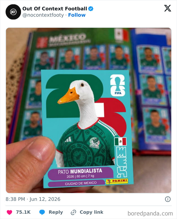 The Wildest Memes From The 2026 World Cup That'll Make You LOL