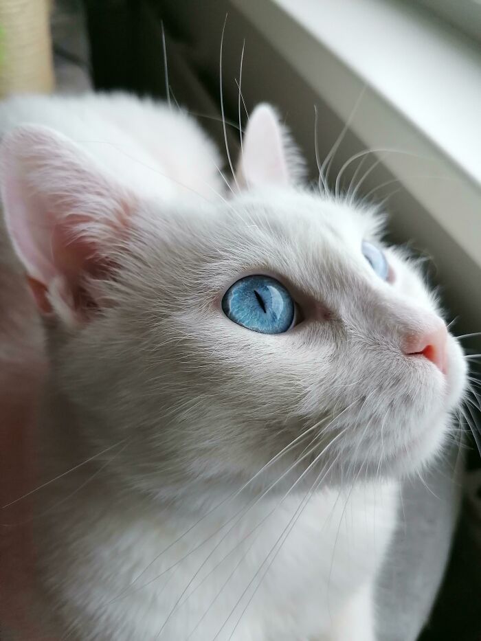 Check Out This Epic Eye Close-Up