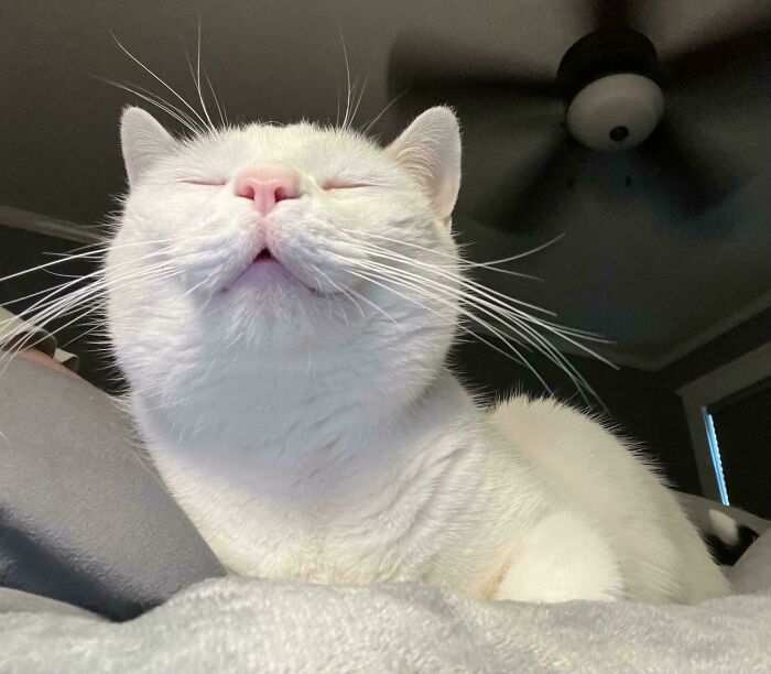 Meet Jack: The Charming Weirdo