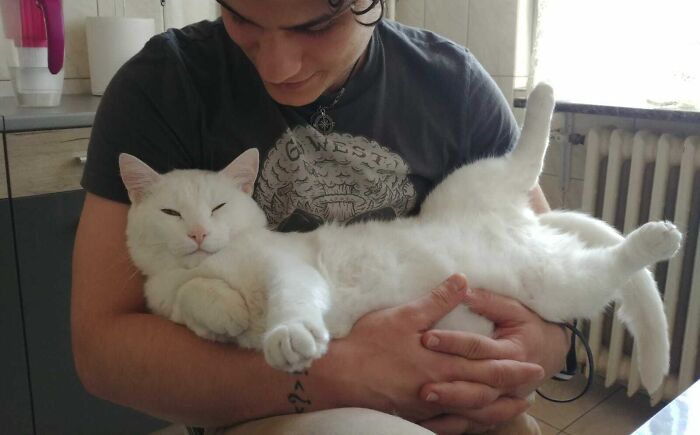 Say Hello to The Great White Chonker
