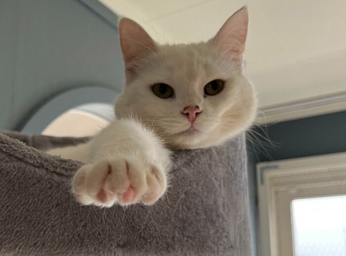 Hey You! Yeah, You!