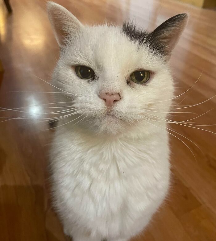18 Years Young and Still Fabulous: Josie