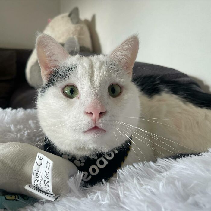 Wait, The Snacks Are Gone?