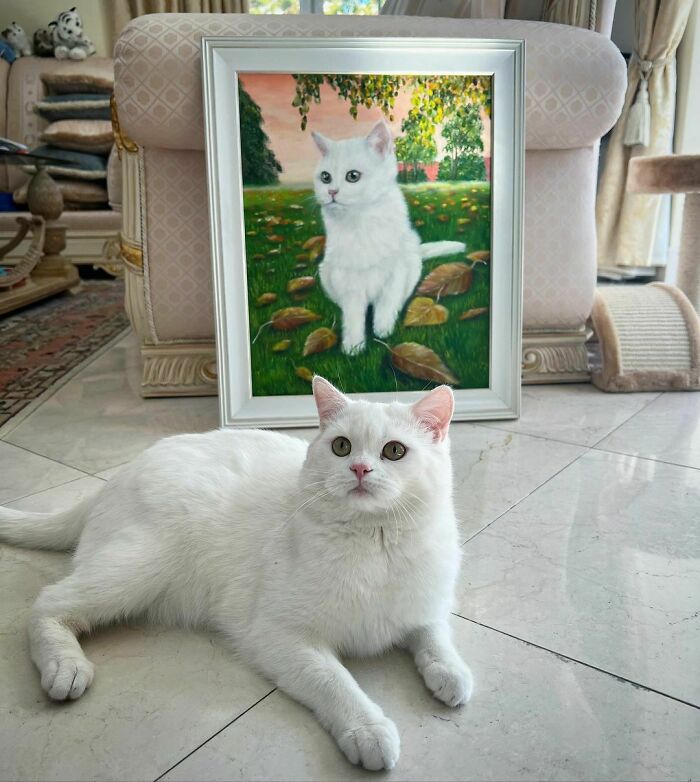 Wait, Have You Ever Seen White Cats This Adorable?