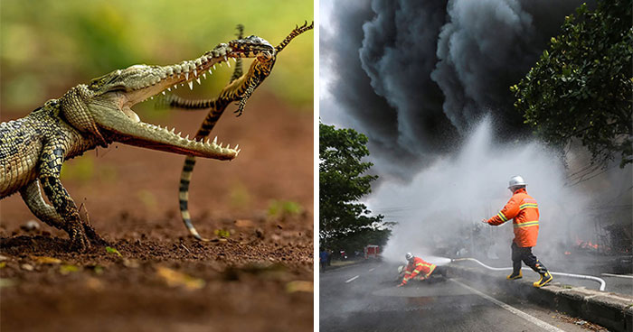 34 Photos That Totally Tell Stories Without Saying a Word