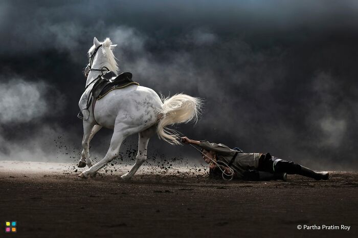 Hold On Tight, Horse Power! By Partha Pratim Roy