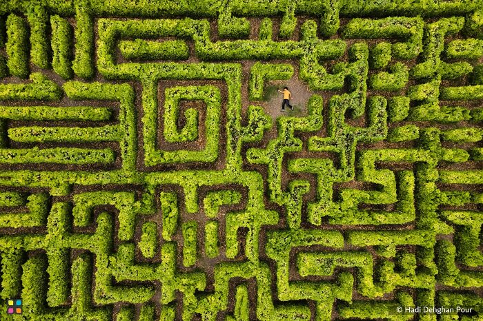 Maze Madness By Hadi Dehghan Pour