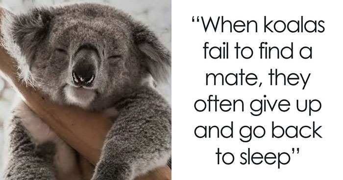 Guess These Fascinating Facts Will Totally Distract You Today