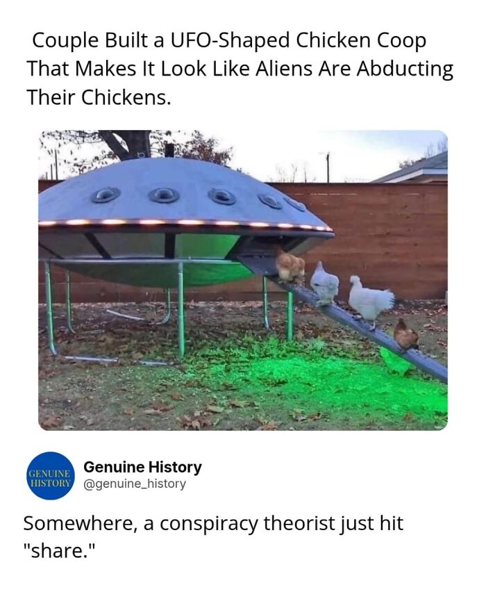 Guess These Fascinating Facts Will Totally Distract You Today