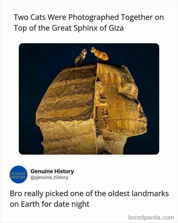 Guess These Fascinating Facts Will Totally Distract You Today