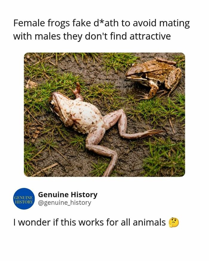 Guess These Fascinating Facts Will Totally Distract You Today
