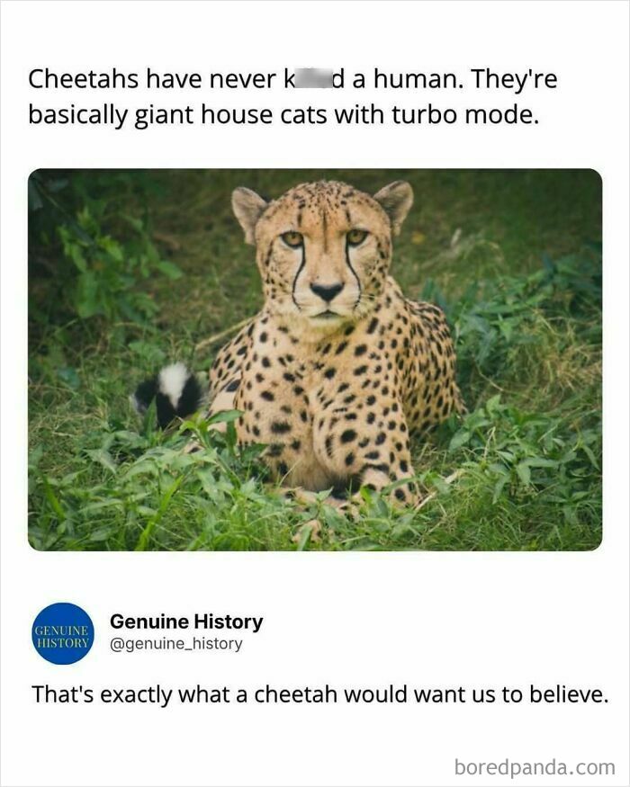 Guess These Fascinating Facts Will Totally Distract You Today
