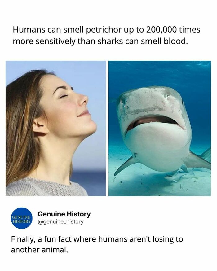 Guess These Fascinating Facts Will Totally Distract You Today