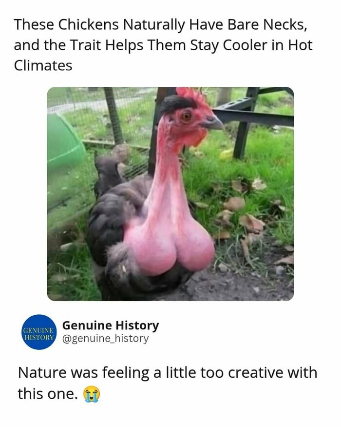 Guess These Fascinating Facts Will Totally Distract You Today