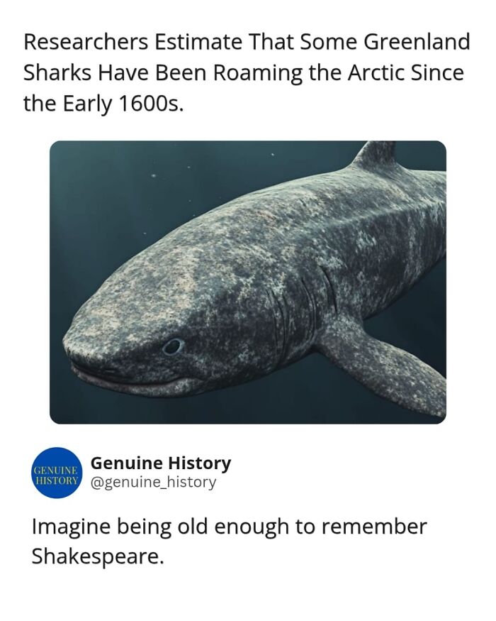 Guess These Fascinating Facts Will Totally Distract You Today