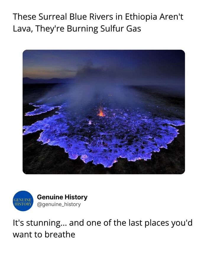 Guess These Fascinating Facts Will Totally Distract You Today