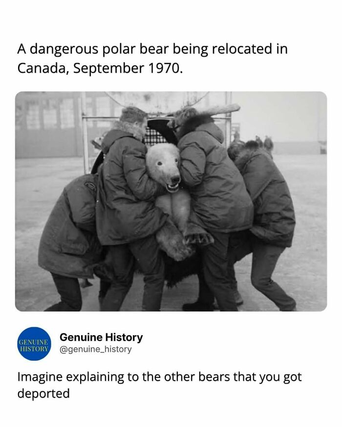 Guess These Fascinating Facts Will Totally Distract You Today