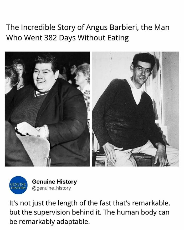 Guess These Fascinating Facts Will Totally Distract You Today