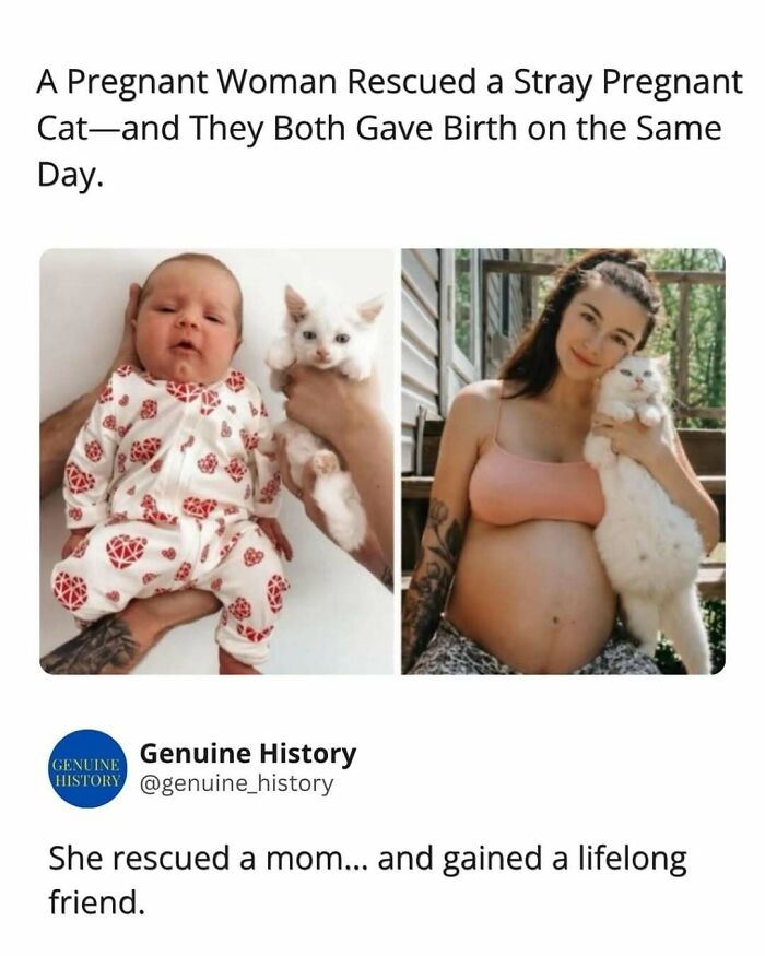 Guess These Fascinating Facts Will Totally Distract You Today