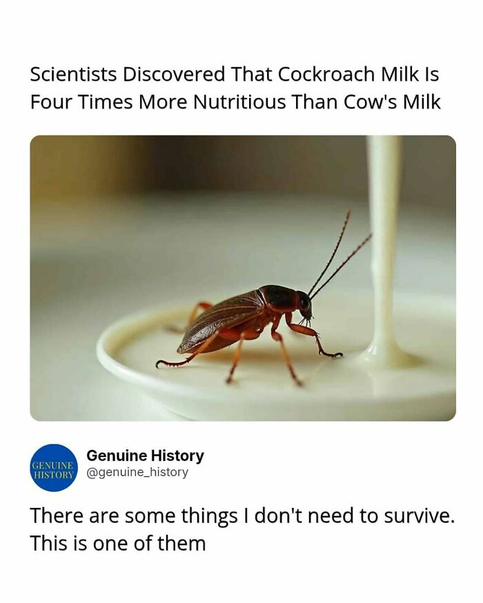Guess These Fascinating Facts Will Totally Distract You Today