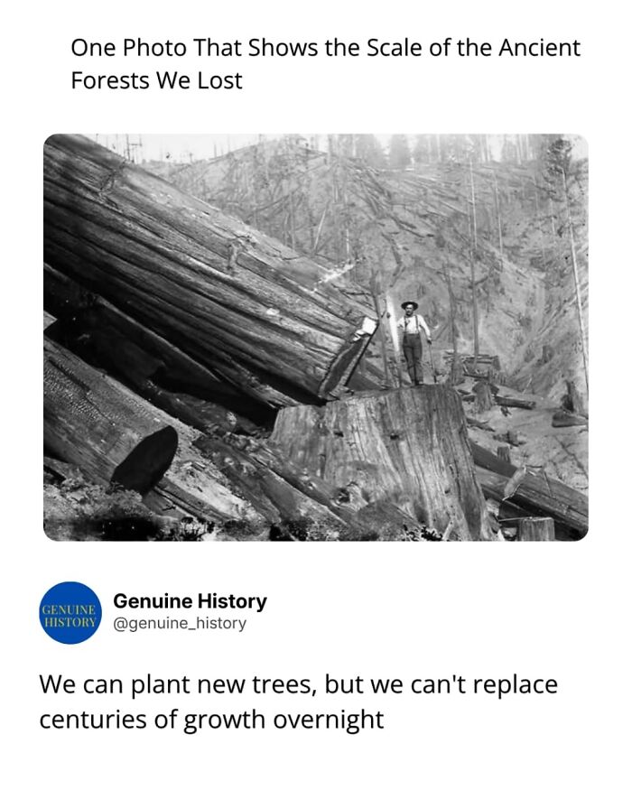 Guess These Fascinating Facts Will Totally Distract You Today