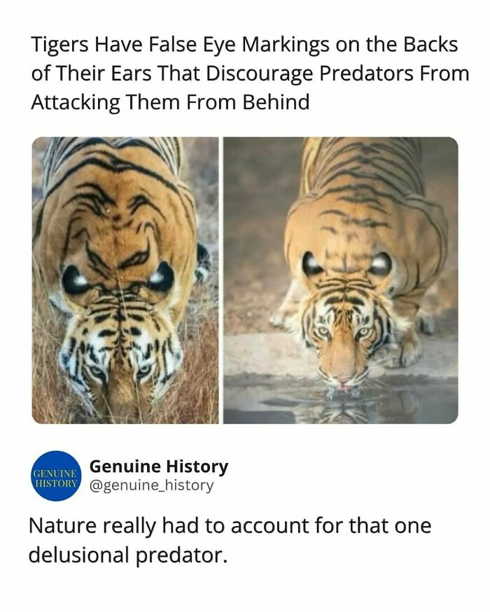 Guess These Fascinating Facts Will Totally Distract You Today