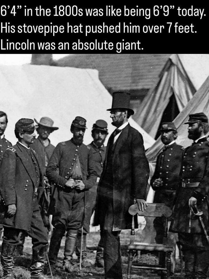 Guess These Fascinating Facts Will Totally Distract You Today