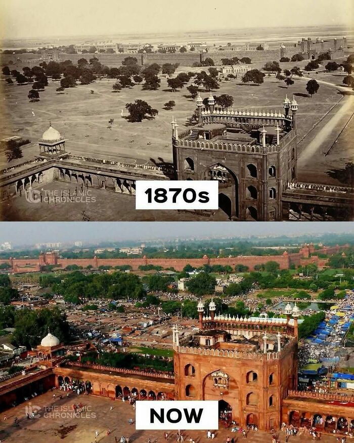 Guess These Fascinating Facts Will Totally Distract You Today