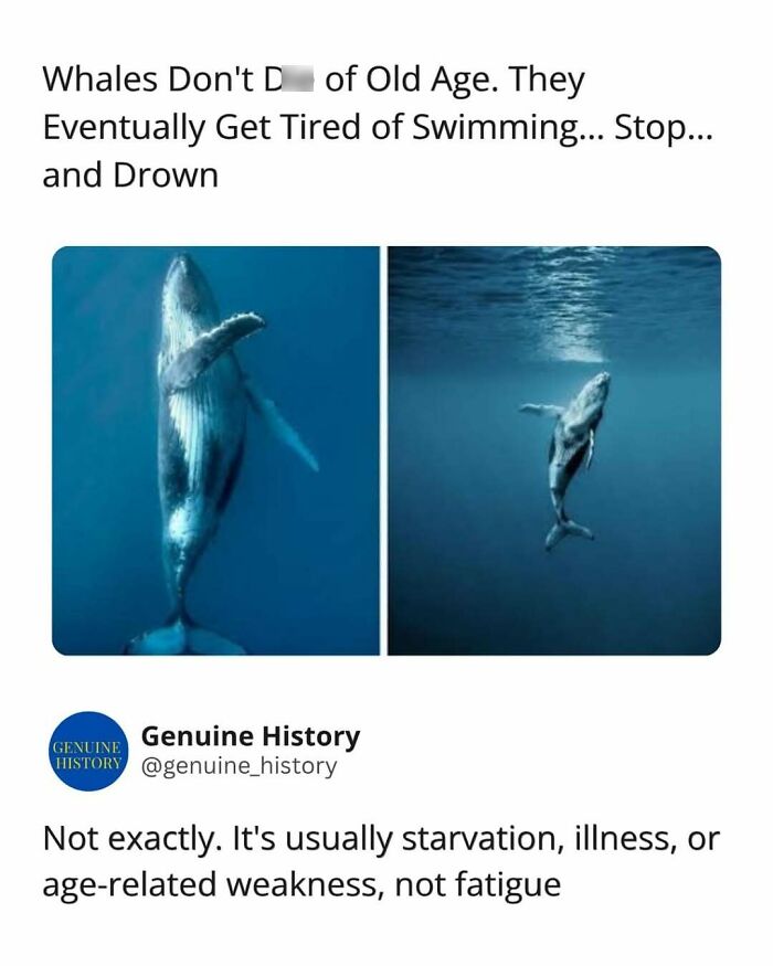 Guess These Fascinating Facts Will Totally Distract You Today