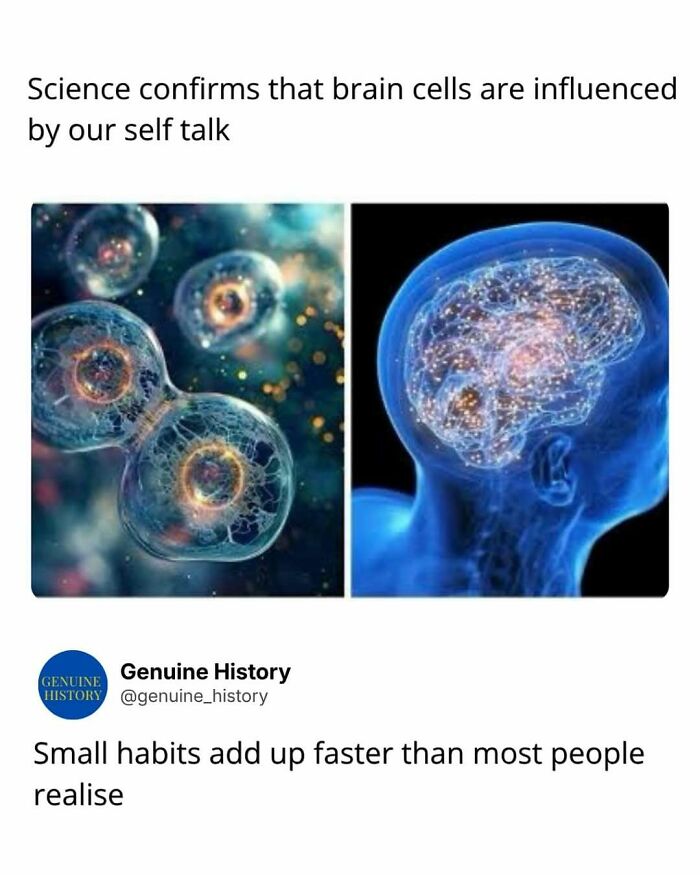 Guess These Fascinating Facts Will Totally Distract You Today