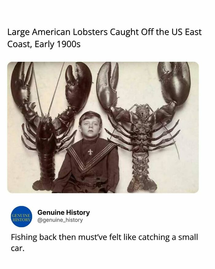 Guess These Fascinating Facts Will Totally Distract You Today