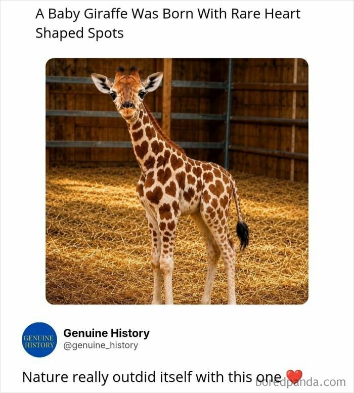 Guess These Fascinating Facts Will Totally Distract You Today