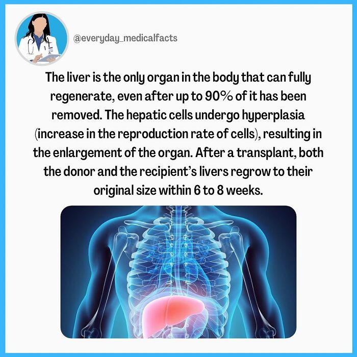 71 Mind-Blowing Body Facts You Didn’t Know You Needed