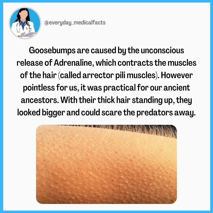 71 Mind-Blowing Body Facts You Didn’t Know You Needed