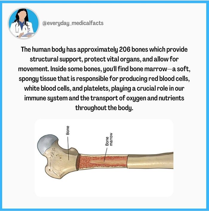 71 Mind-Blowing Body Facts You Didn’t Know You Needed