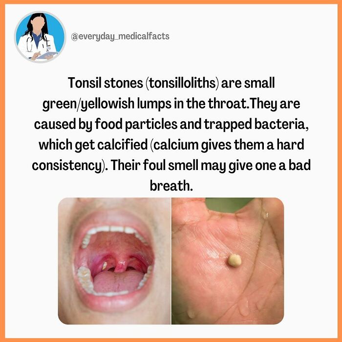 71 Mind-Blowing Body Facts You Didn’t Know You Needed