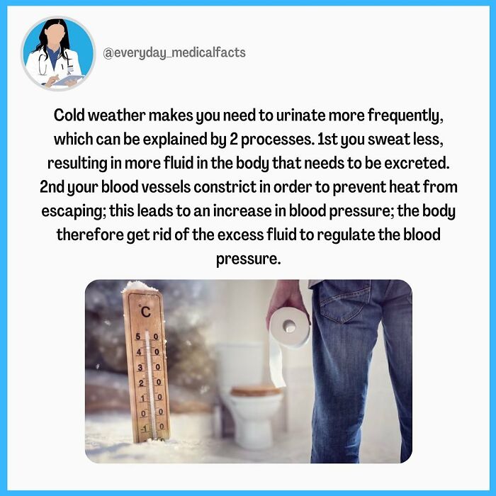 71 Mind-Blowing Body Facts You Didn’t Know You Needed