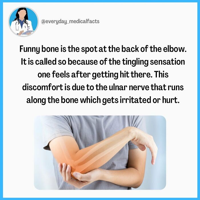 71 Mind-Blowing Body Facts You Didn’t Know You Needed