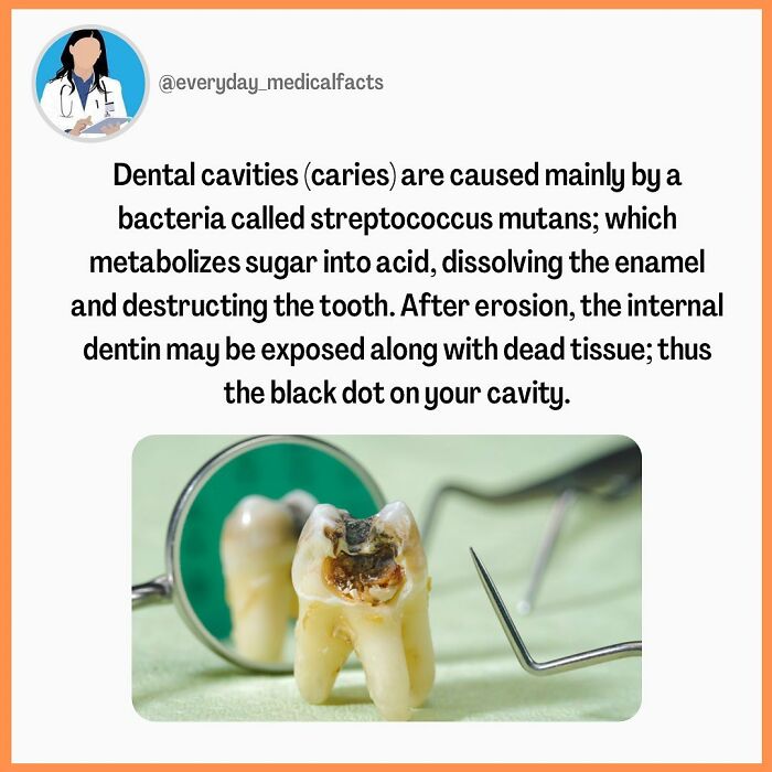 71 Mind-Blowing Body Facts You Didn’t Know You Needed