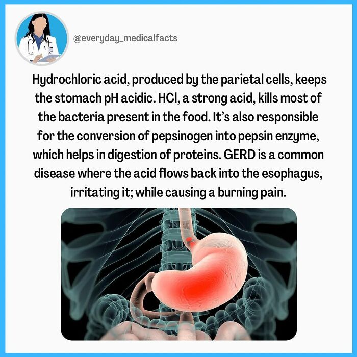 71 Mind-Blowing Body Facts You Didn’t Know You Needed