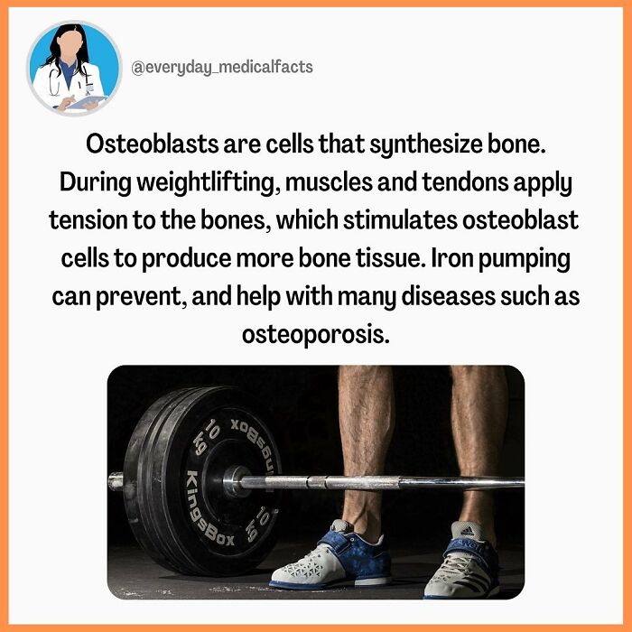 71 Mind-Blowing Body Facts You Didn’t Know You Needed
